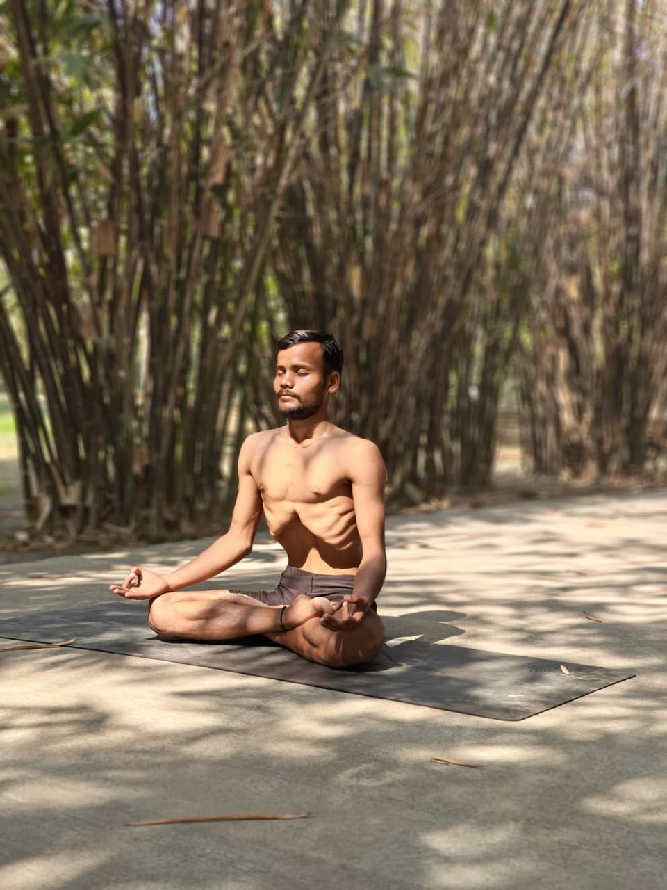Yoga class in progress